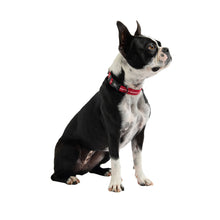 Load image into Gallery viewer, Reflective Collar - Red