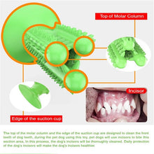 Load image into Gallery viewer, Interactive Kong Dog Toys Rubber Dog Toothbrush Puppy Chew Toys French