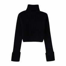 Load image into Gallery viewer, Winter New Fashion Elegant High Collar Long Sleeve Solid Short