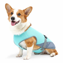 Load image into Gallery viewer, Pet Cooling Clothing Dog Clothing Pet Cooling Pet Supplies