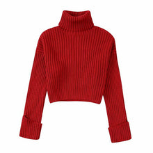 Load image into Gallery viewer, Winter New Fashion Elegant High Collar Long Sleeve Solid Short
