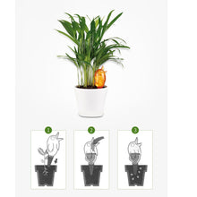 Load image into Gallery viewer, Gardening Plastic Bird Drip Irrigation Set System Equipment
