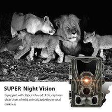 Load image into Gallery viewer, Hc801a Hunting Trail Camera Wildlife Camera With Night Vision Motion