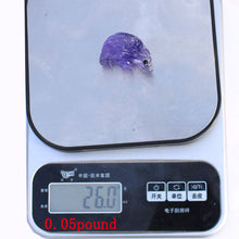 Load image into Gallery viewer, Natural Indigo Fluorite Quartz Animal Ornament Crystal Hedgehog For