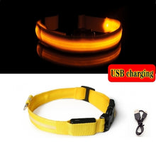 Load image into Gallery viewer, Led Dog Collar Light Anti lost Collar For Dogs Puppies Night Luminous