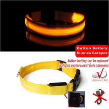 Load image into Gallery viewer, Led Dog Collar Light Anti lost Collar For Dogs Puppies Night Luminous