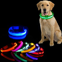Load image into Gallery viewer, Led Dog Collar Light Anti lost Collar For Dogs Puppies Night Luminous