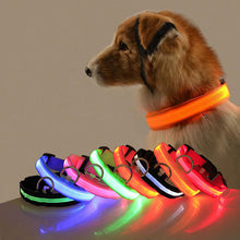 Load image into Gallery viewer, Led Dog Collar Light Anti lost Collar For Dogs Puppies Night Luminous