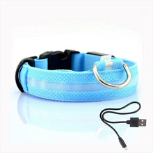 Load image into Gallery viewer, Led Dog Collar Light Anti lost Collar For Dogs Puppies Night Luminous