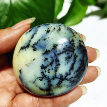 Load image into Gallery viewer, Natural Dendritic Opal Stone Trees Water Grass Crystal Palm Spiritual