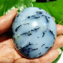 Load image into Gallery viewer, Natural Dendritic Opal Stone Trees Water Grass Crystal Palm Spiritual