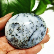 Load image into Gallery viewer, Natural Dendritic Opal Stone Trees Water Grass Crystal Palm Spiritual