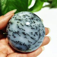 Load image into Gallery viewer, Natural Dendritic Opal Stone Trees Water Grass Crystal Palm Spiritual