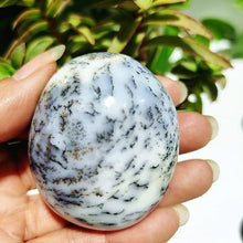 Load image into Gallery viewer, Natural Dendritic Opal Stone Trees Water Grass Crystal Palm Spiritual
