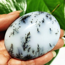 Load image into Gallery viewer, Natural Dendritic Opal Stone Trees Water Grass Crystal Palm Spiritual