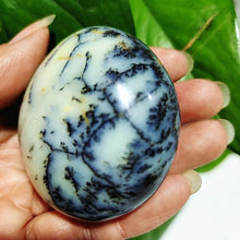 Load image into Gallery viewer, Natural Dendritic Opal Stone Trees Water Grass Crystal Palm Spiritual