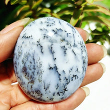 Load image into Gallery viewer, Natural Dendritic Opal Stone Trees Water Grass Crystal Palm Spiritual