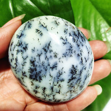Load image into Gallery viewer, Natural Dendritic Opal Stone Trees Water Grass Crystal Palm Spiritual