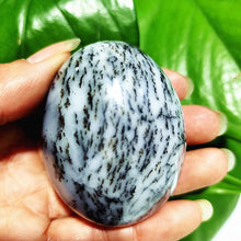 Load image into Gallery viewer, Natural Dendritic Opal Stone Trees Water Grass Crystal Palm Spiritual