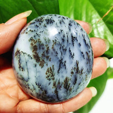 Load image into Gallery viewer, Natural Dendritic Opal Stone Trees Water Grass Crystal Palm Spiritual