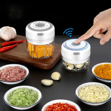 Load image into Gallery viewer, Quick Chop Powered Herbs,Veggie Chopper And Salsa Maker