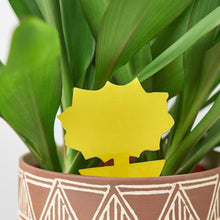 Load image into Gallery viewer, Bug Sticky Traps - 5 Pack