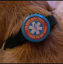 Load image into Gallery viewer, Medical Alert TWIST TAG- Silent, Eco-Friendly, Ringless ID Tag for