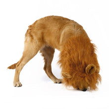 Load image into Gallery viewer, Lion Theme Dog Wig