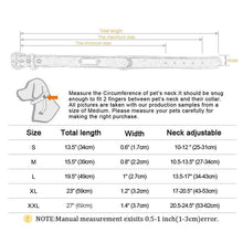 Load image into Gallery viewer, Dog Collar Sturdy Personalized Dog Collar Leather Padded Pet ID