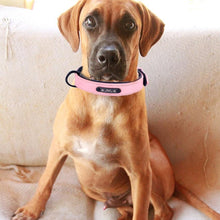 Load image into Gallery viewer, Dog Collar Sturdy Personalized Dog Collar Leather Padded Pet ID