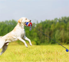 Load image into Gallery viewer, Dog Toy Bite-resistant Molar Golden Hair Training Interactive
