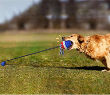 Load image into Gallery viewer, Dog Toy Bite-resistant Molar Golden Hair Training Interactive
