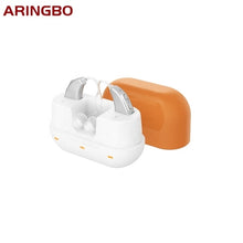 Load image into Gallery viewer, New Rechargeable Digital Hearing Aid Severe Loss 10 Channel Ear Aids
