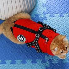 Load image into Gallery viewer, Winter Dog Jacket Dog Jumper Outfit with Chest Strap Warm Dog Clothes
