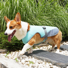 Load image into Gallery viewer, Pet Cooling Clothing Dog Clothing Pet Cooling Pet Supplies
