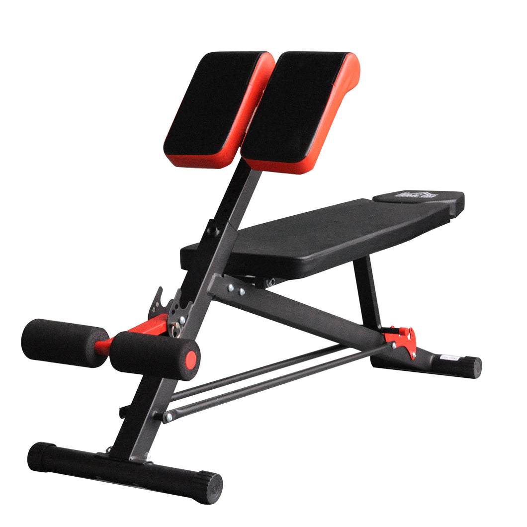 Soozier Multi-Functional Adjustable Hyper Extension Dumbbell Bench