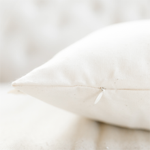 Load image into Gallery viewer, I Like Naps Pillow
