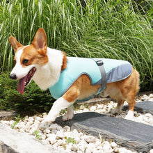 Load image into Gallery viewer, Pet Cooling Clothing Dog Clothing Pet Cooling Pet Supplies
