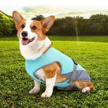 Load image into Gallery viewer, Pet Cooling Clothing Dog Clothing Pet Cooling Pet Supplies
