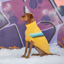 Load image into Gallery viewer, Alpine Sweater - Yellow
