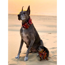 Load image into Gallery viewer, Spice Latte - Dog Scarf
