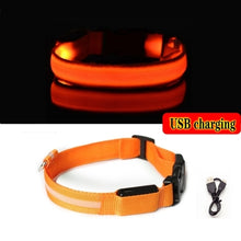 Load image into Gallery viewer, Led Dog Collar Light Anti lost Collar For Dogs Puppies  Night Luminous
