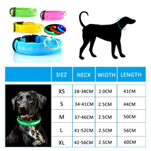 Load image into Gallery viewer, Led Dog Collar Light Anti lost Collar For Dogs Puppies  Night Luminous
