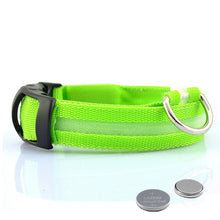 Load image into Gallery viewer, Led Dog Collar Light Anti lost Collar For Dogs Puppies  Night Luminous
