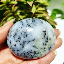 Load image into Gallery viewer, Natural Dendritic Opal Stone Trees Water Grass Crystal Palm Spiritual
