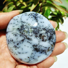 Load image into Gallery viewer, Natural Dendritic Opal Stone Trees Water Grass Crystal Palm Spiritual
