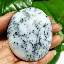 Load image into Gallery viewer, Natural Dendritic Opal Stone Trees Water Grass Crystal Palm Spiritual
