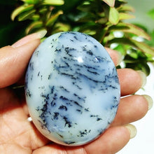 Load image into Gallery viewer, Natural Dendritic Opal Stone Trees Water Grass Crystal Palm Spiritual

