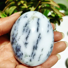 Load image into Gallery viewer, Natural Dendritic Opal Stone Trees Water Grass Crystal Palm Spiritual
