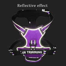 Load image into Gallery viewer, Nylon Dog Harness Vest Reflective Dog Harness Personalized Breathable
